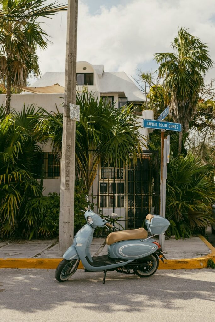 puerto Morelos vie