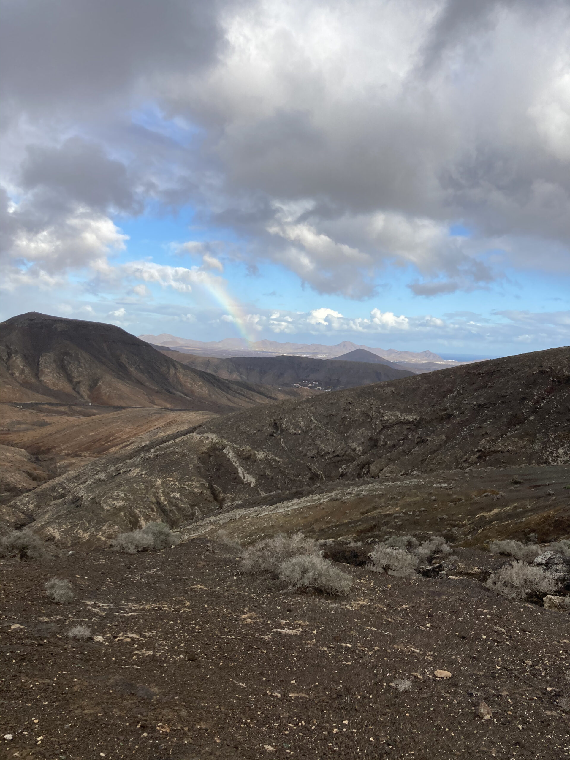 sentiero cardon Fuerteventura