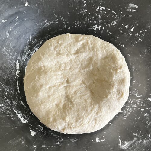 impasto gyoza finito