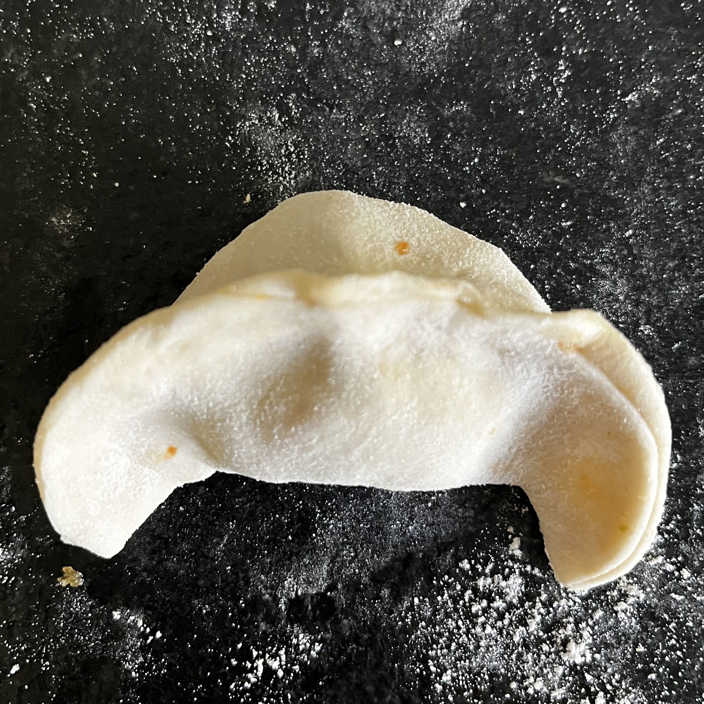 gyoza forma nostrana